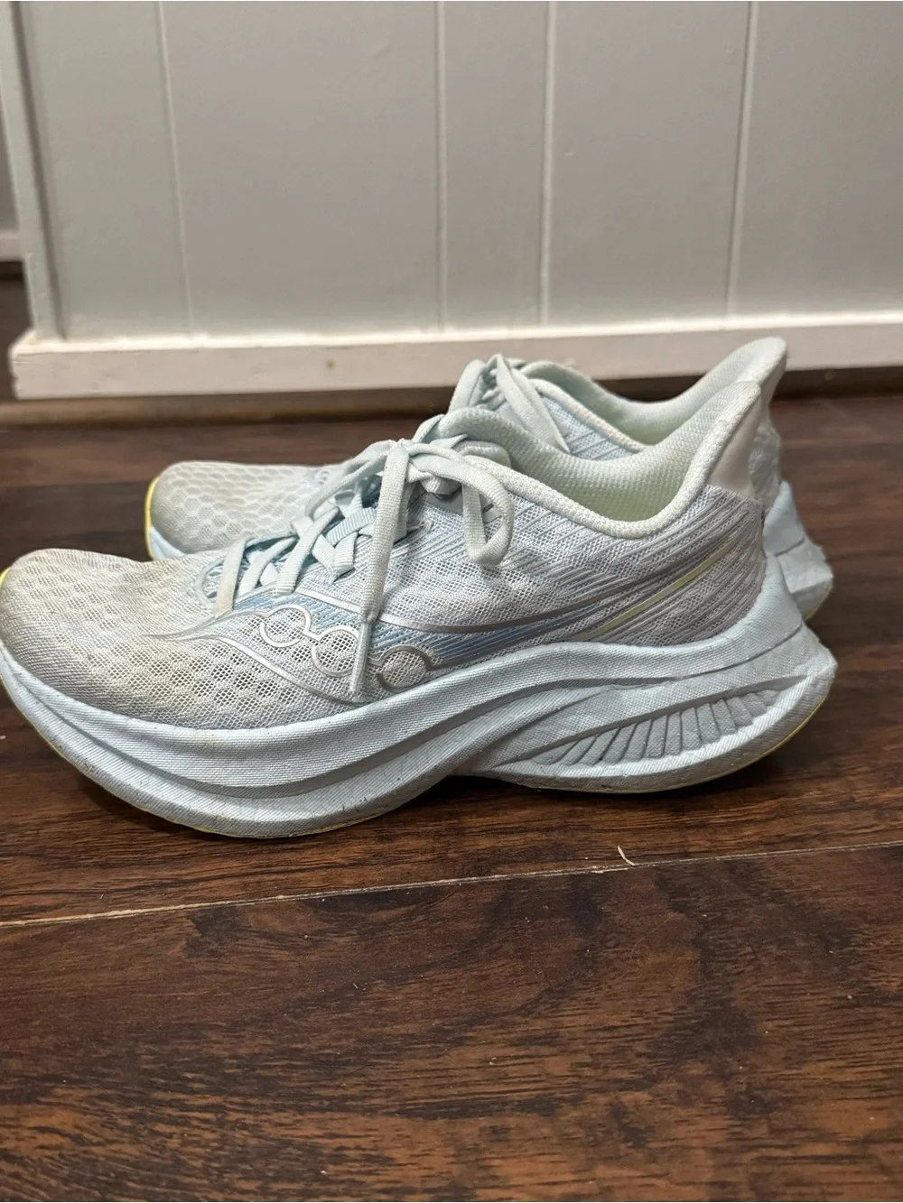 Saucony Endorphin